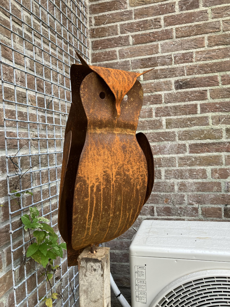 oehoe (zittend)
